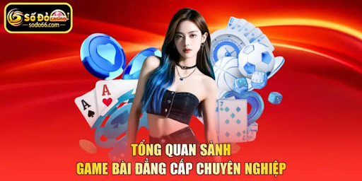 Understanding Digital Lottery Platforms and Online Number-Based Games